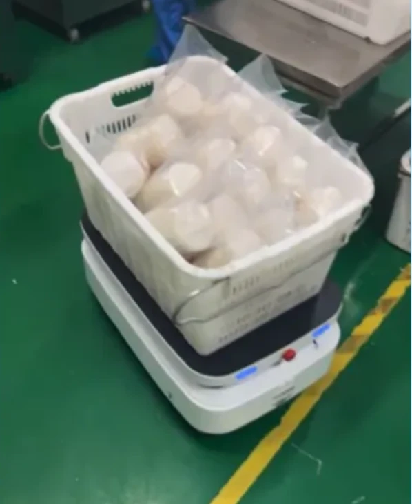Agv Autonomous Mobile Robot high quality